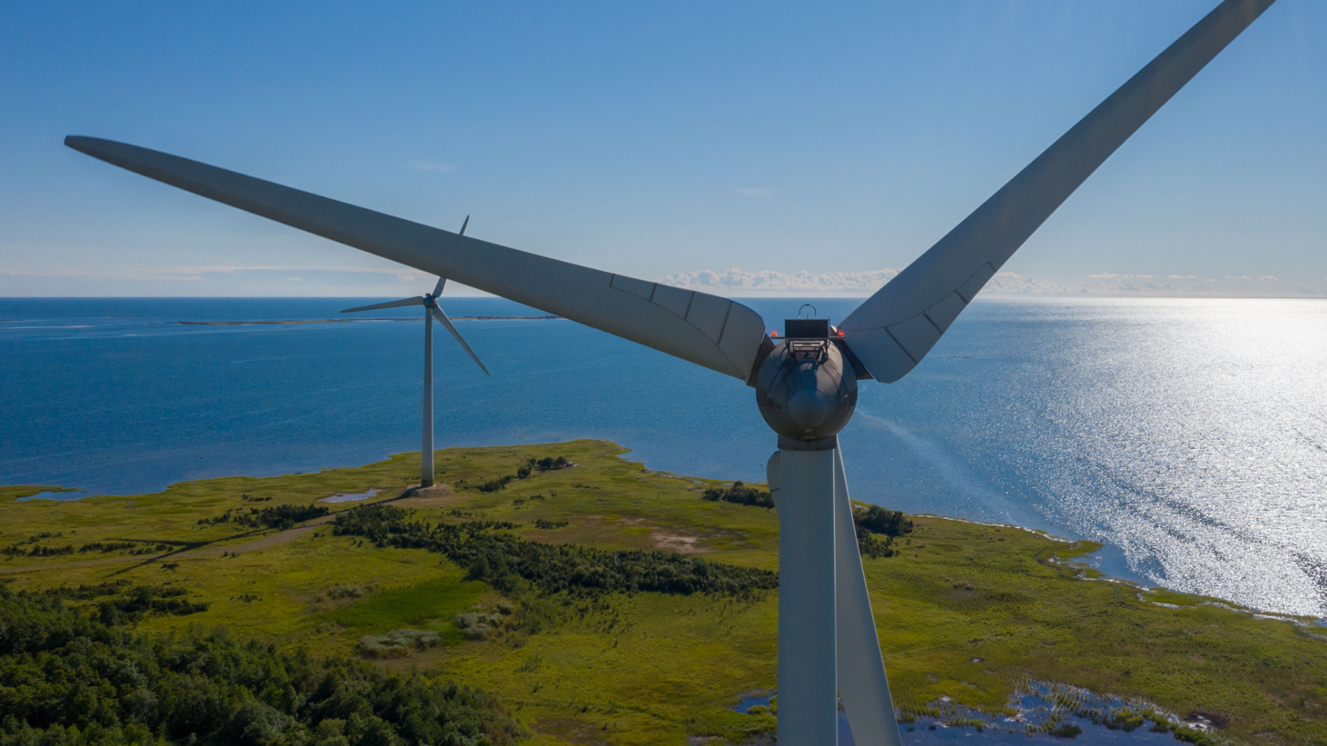 To strengthen sustainability oversight, Ignitis Group is looking for ...