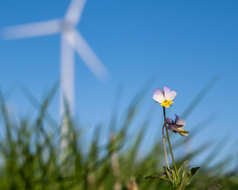 UAB „Ignitis renewables“
