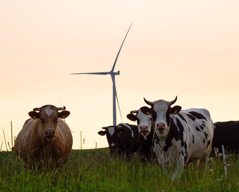 UAB „Ignitis renewables“