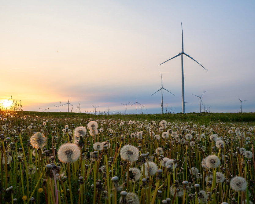 UAB „Ignitis renewables“