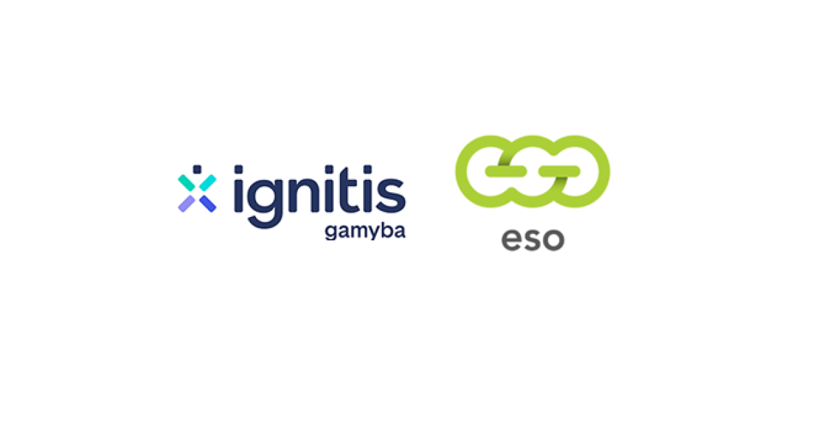 ESO ir „Ignitis gamybos“ akcijas parduoti bus galima ir vėliau 