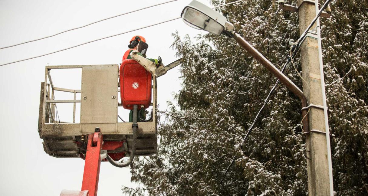 Katastrofinio vėjo iššūkiai elektros tinklams: daugiausia gedimų – trumpalaikiai, jie pašalinti du kartus greičiau nei prieš metus
