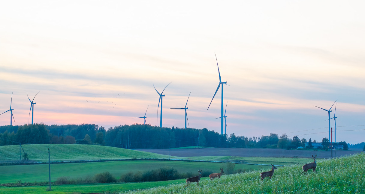 Renewables