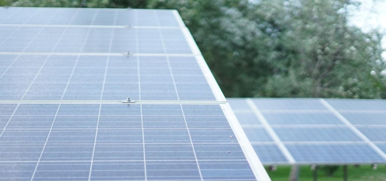 Saulės elektrinės nauda - elektra gaminama sode, o naudojama namie