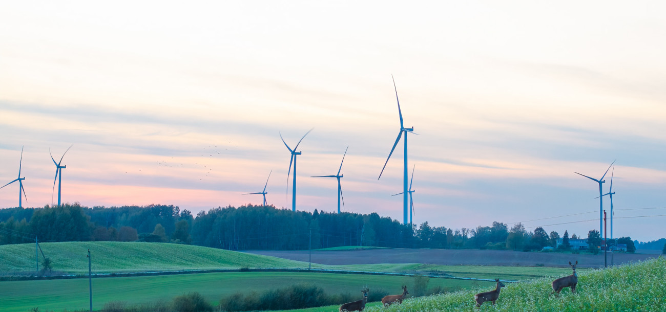 Renewables