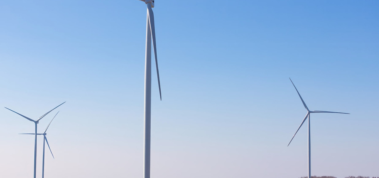 „Ignitis renewables“ Kelmės vėjo parkas