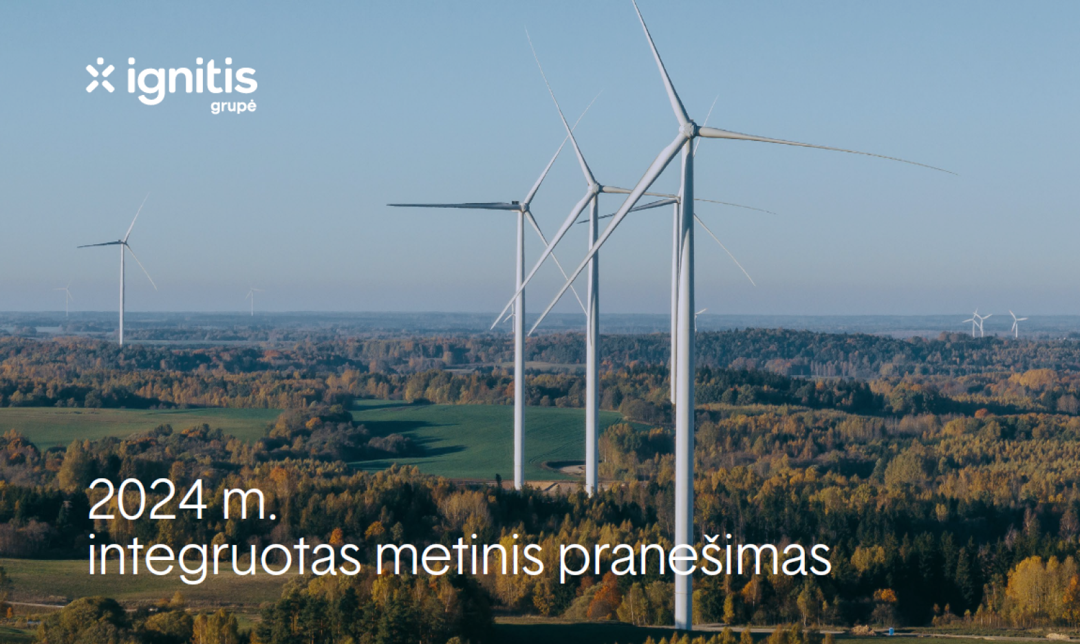 Metinis