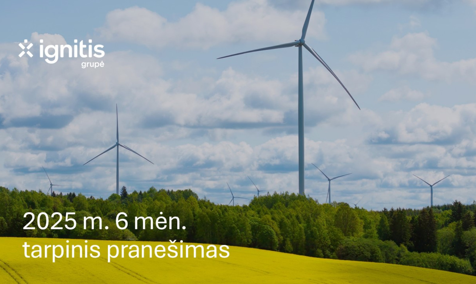 2025 m. 6 mėn. tarpinis pranešimas