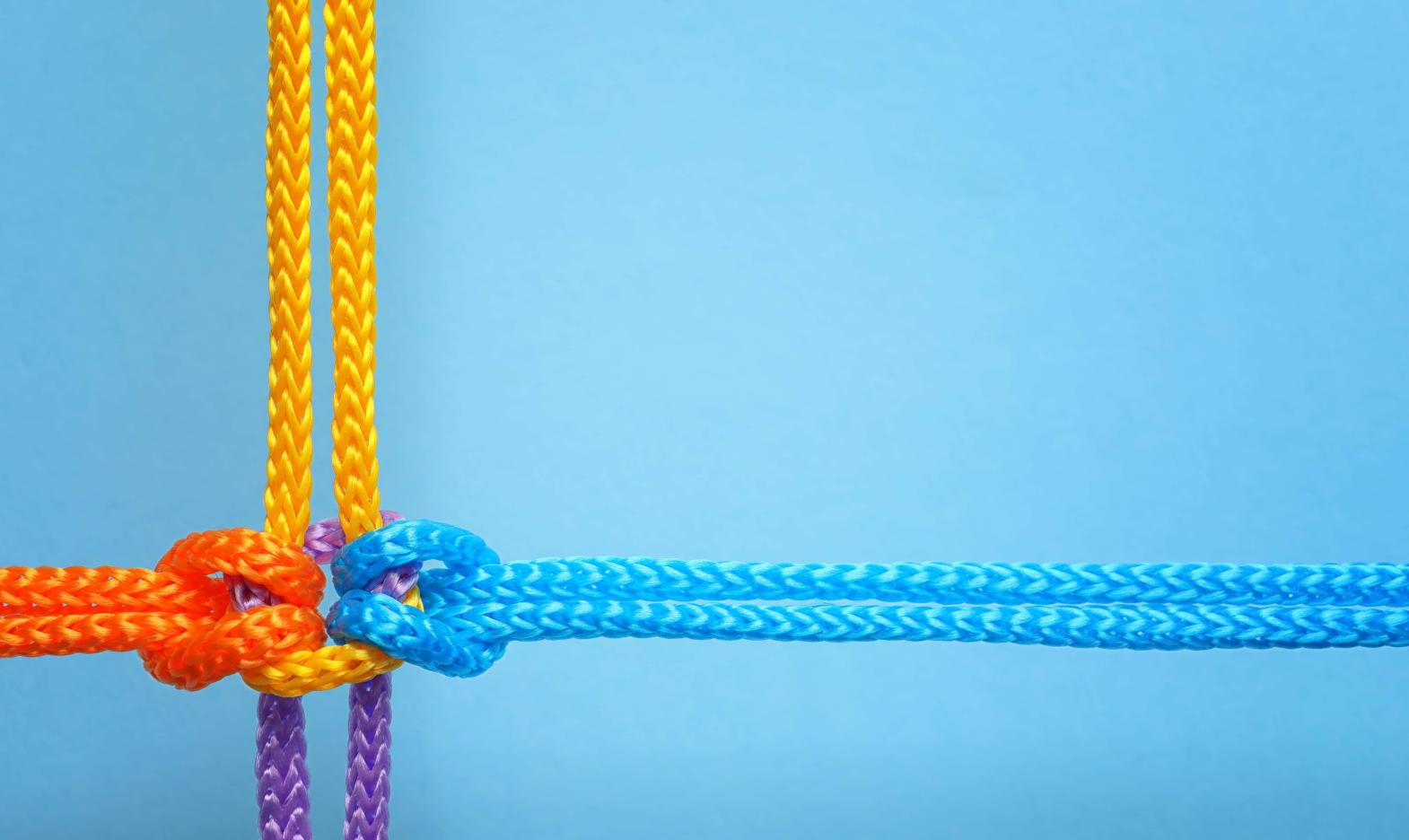 Equal Opportunities and Diversity Policy
